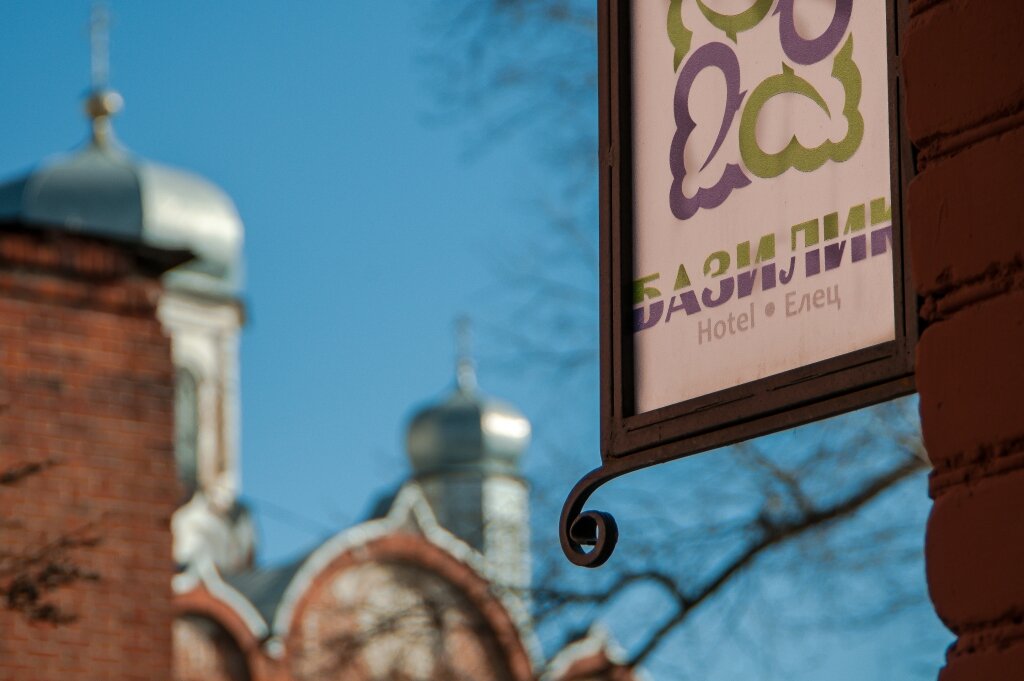 Гостиница Базилик Елец-14