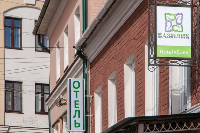 Гостиница Базилик Елец-38